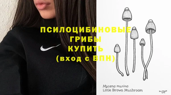 прущие грибы Балабаново