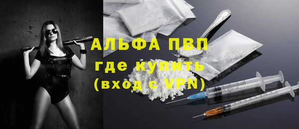 прущие грибы Балабаново