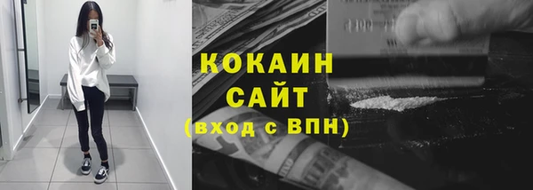 прущие грибы Балабаново