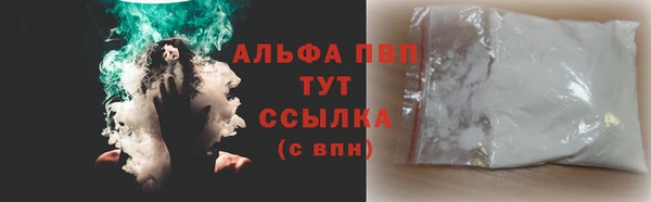 прущие грибы Балабаново