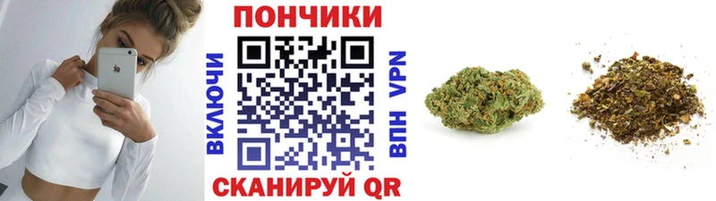 Купить где  Сясьстрой  Марихуана ГИДРОПОН 